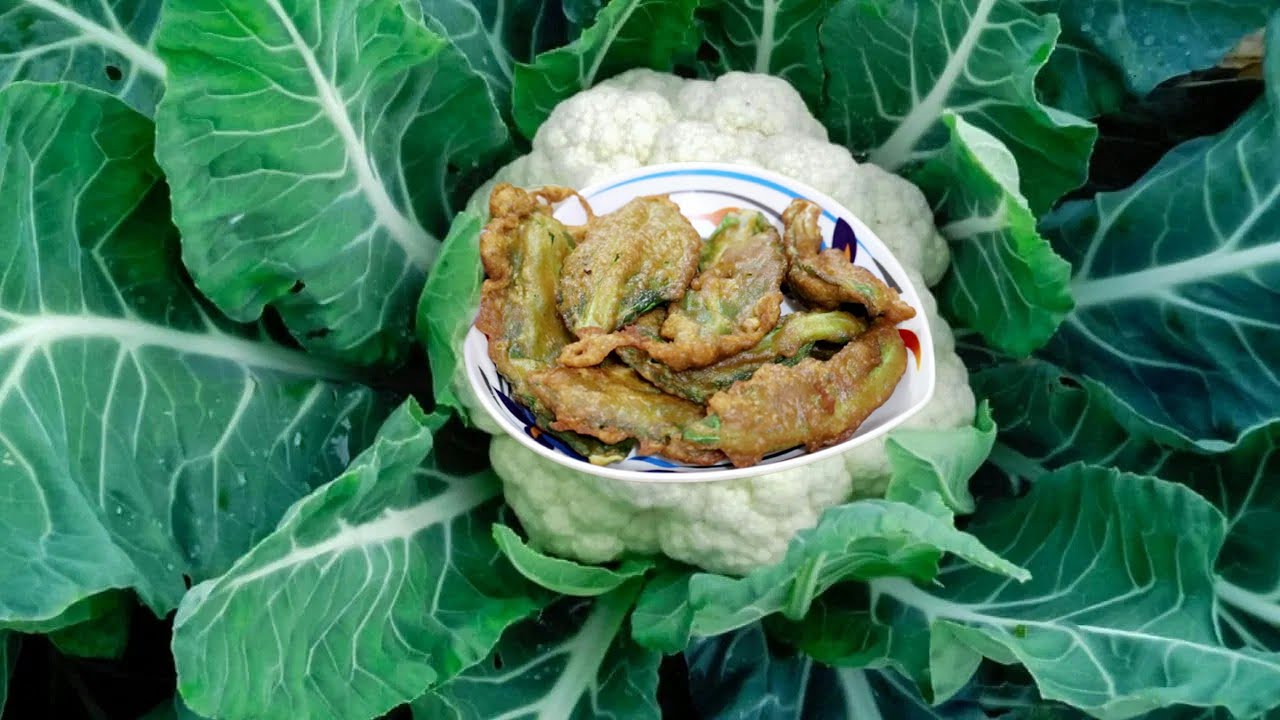 ফুলকপির পাতার চপ ১০ মিনিটে ঝটপট নাস্তা রেসিপি Evening Snacks Recipe | Holy Recipes