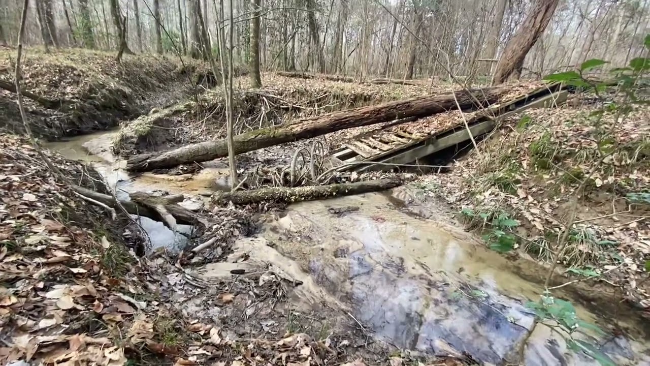 Abandoned Bridge | Mill Branch Trail | Homochitto National Forest