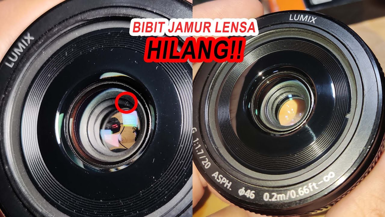 Lumix 20mm f1.7 II Lens Cleaning | Membersihkan Bibit Jamur pada Lensa Lumix 20mm f1.7 II
