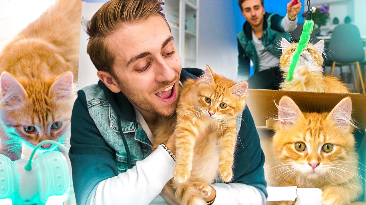 J’AI COMMANDÉ 10 JOUETS BIZARRE POUR MON CHAT ! ( Il est trop mignon )