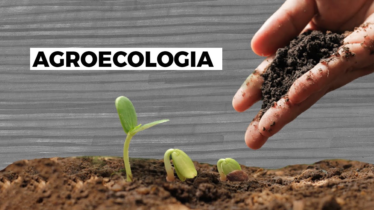 UFSC Explica - Agroecologia