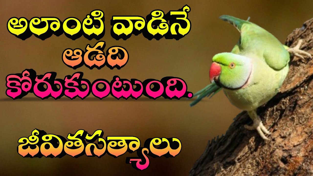 జీవిత సత్యాలు #336 |మంచి మాటలు|Inspirational quotes|Motivational quotes|సూక్తులు|Telugu quotes