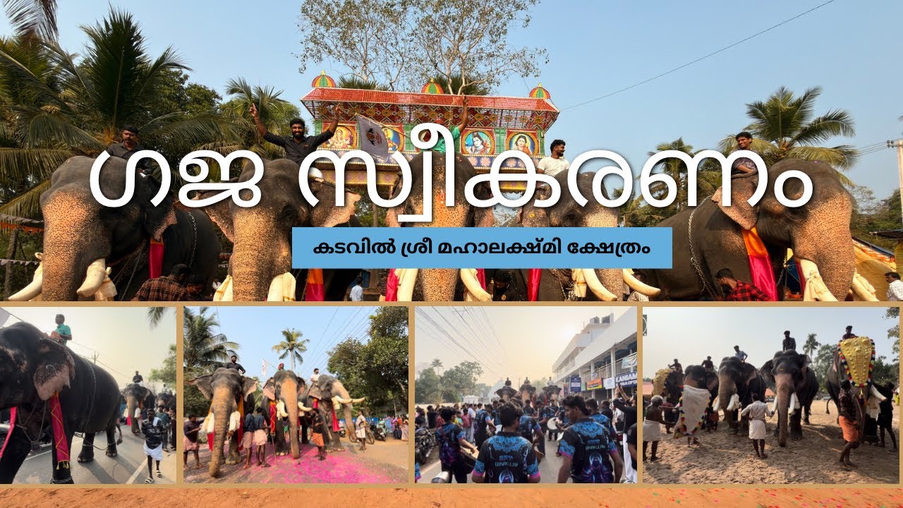 ഗജസ്വീകരണം-കുന്നത്തൂർ രാമു🐘കാളിയാർമഠം ശേഖരൻ🐘അരുണിമപാർത്ഥസാരഥി🐘ഗുരുജിയിൽശിവനാരായണൻ🐘 മുണ്ടക്കൽശിവനന്ദൻ