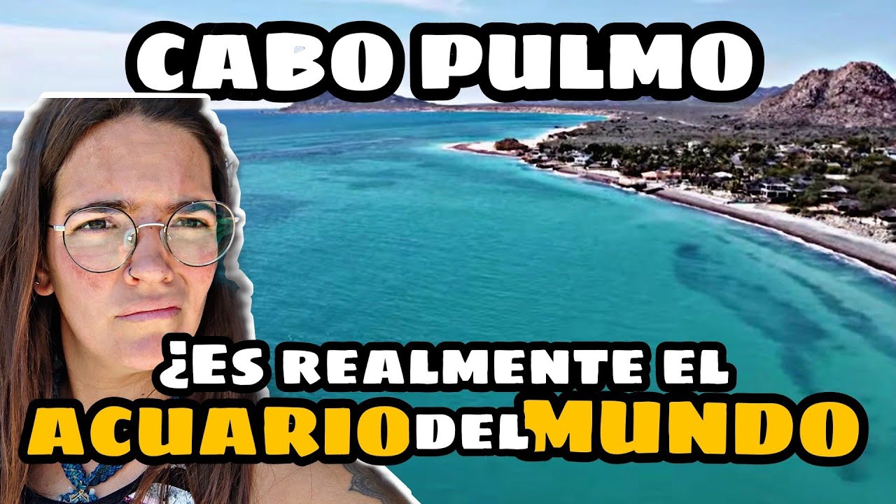 95. BUCEO con TIBURON TORO 😱 DIVING CABO PULMO | Baja California Sur