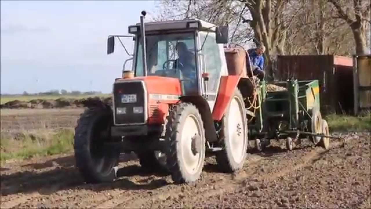 [HD] MF 3085 E mit einem Cramer Junior Jumbo || Kartoffel pflanzen