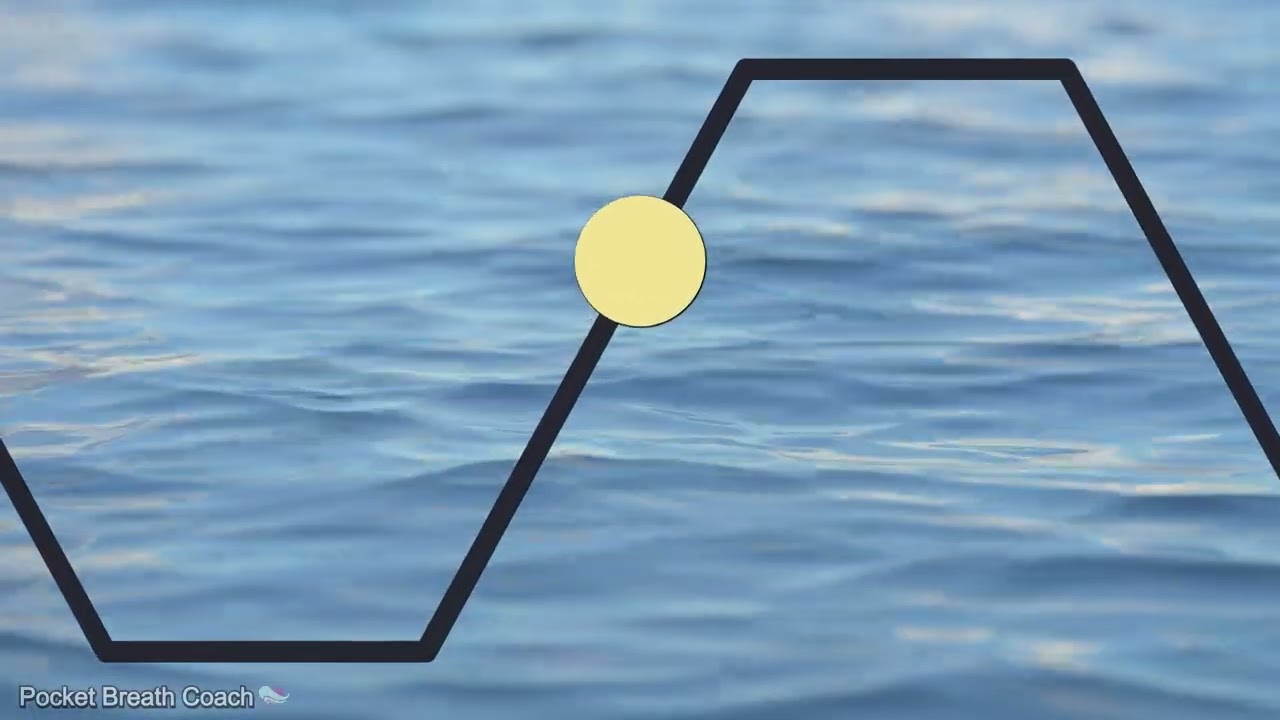 Box Breathing for Calm Focus | 5-5-5-5 Guided Practice