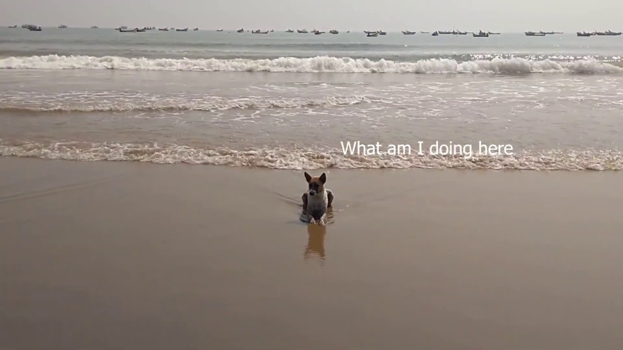 Surya Lanka | Bapatla Beach | Andhra Pradesh