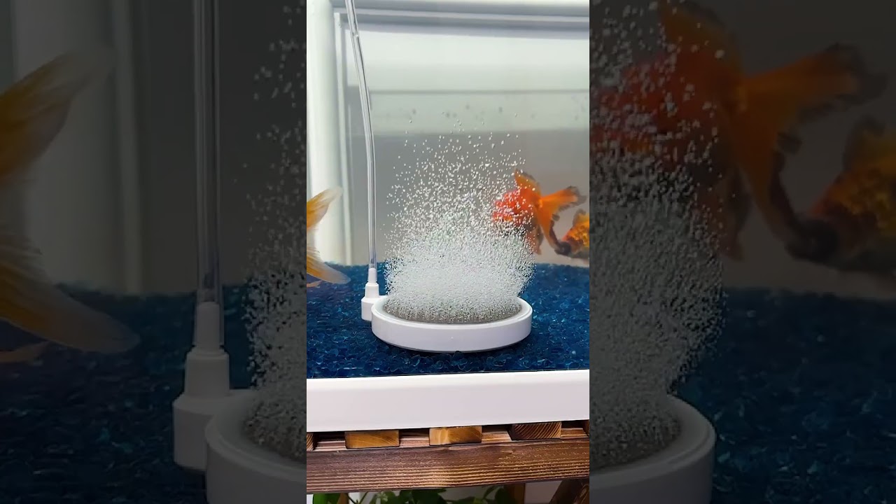 Ⓜ️Product Link in Comments!Ⓜ️ Mini Aquarium Oxygen Pump