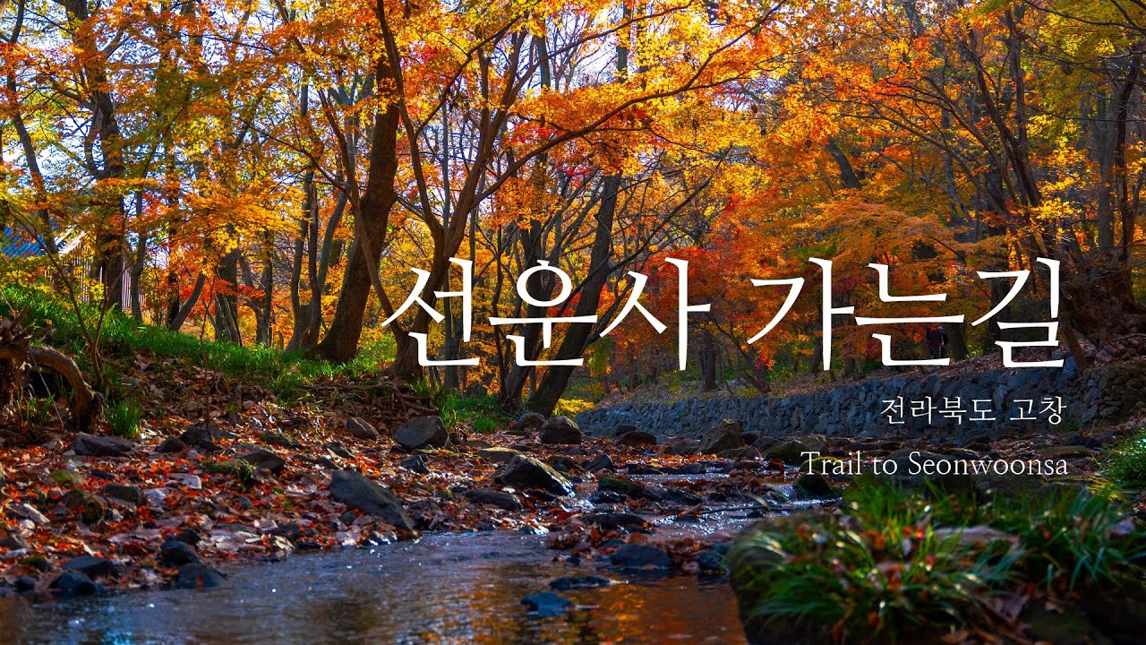 붉은 단풍 가득한 선운사 가는 길 - 전북 고창 / 4k | Cinematic Scenic Travel