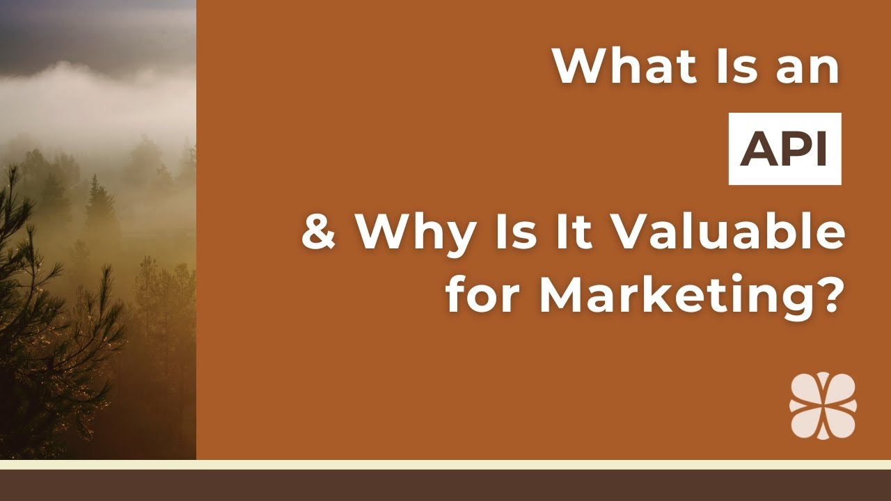 What Is an API and Why Is it Valuable for Marketing?
