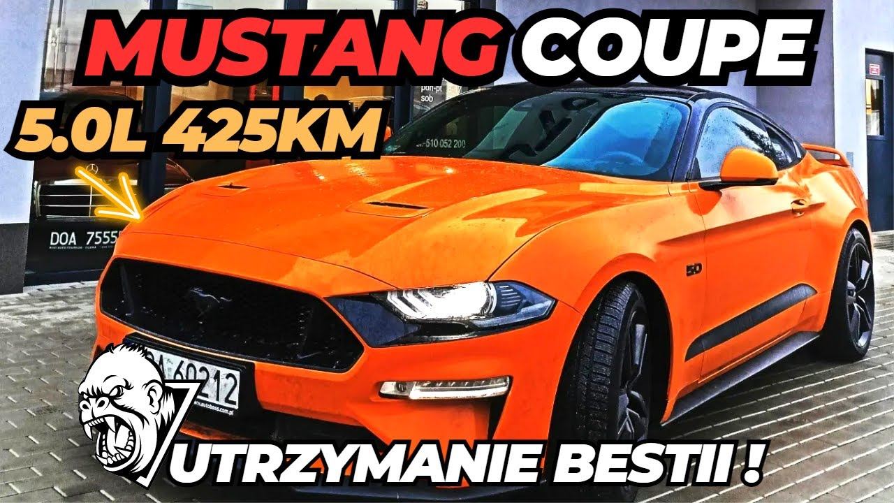 Mustang Coupe 5.0 V8 jak ten piec pięknie gra ! Serwis olejowy i przegląd og&oacute;lny