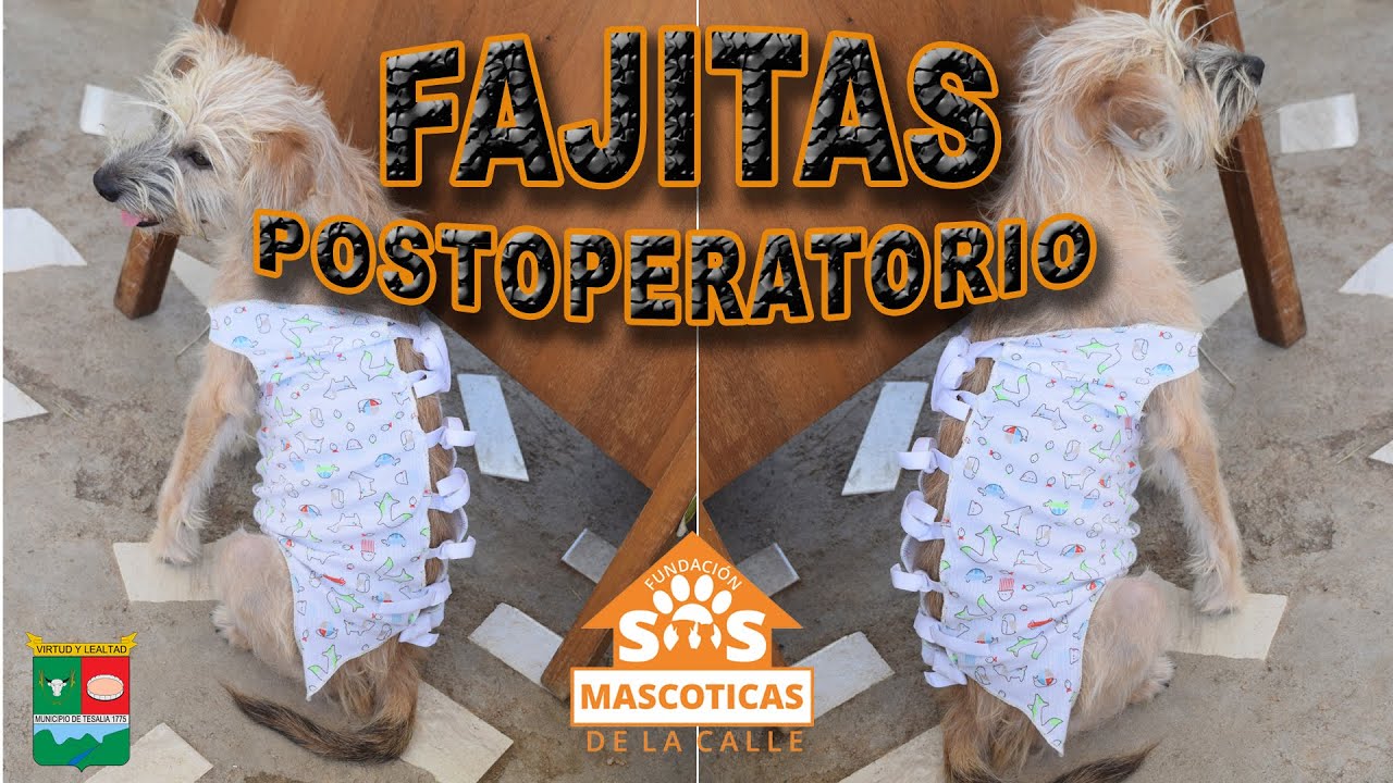 CONOCE NUESTRAS FAJITAS POSTOPERATORIO