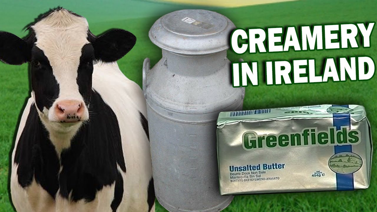 From the Cow to the Creamery (Milk & Butter Making in Ireland)