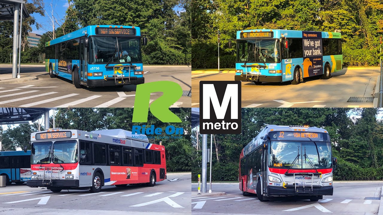Montgomery County Transit Ride-On And WMATA Bus Compilation At Montgomery Mall
