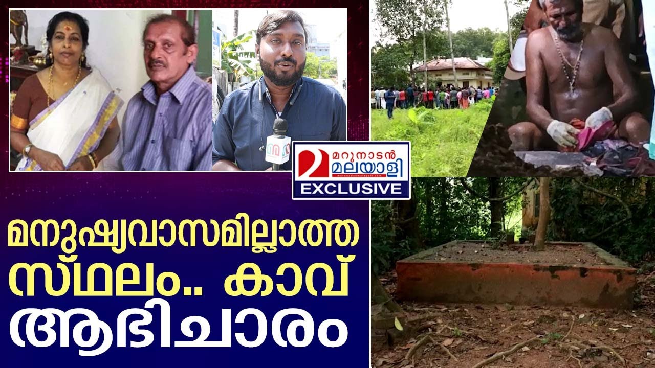 ഇലന്തൂരിലെ പേടിപ്പെടുത്തുന്ന കാഴ്ചകൾ  I  ELANTHOOR I PATHANAMTHITTA