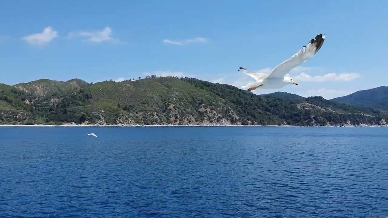 Cruise around the Holy Mount Athos (Άγιον Όρος)