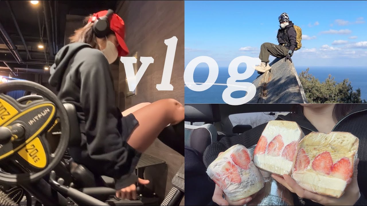 움직여야 살고, 먹어야 행복한 VLOG(강릉러닝+등산여행, 브릭베이글, 혼술, 빵투어, 연리희재, 괘방산, 선자령, 함백산, 운탄고도, 운동하는직장인)