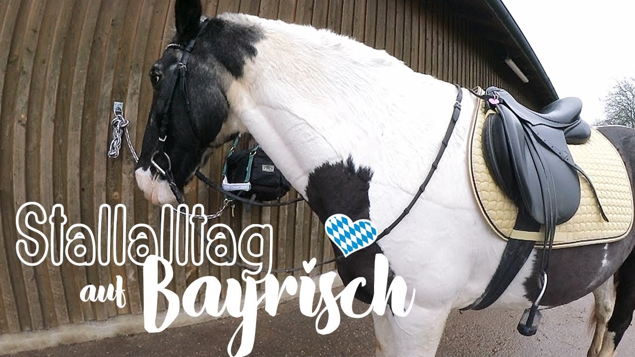 Stallalltag auf BAYRISCH // A&G HorseDiary
