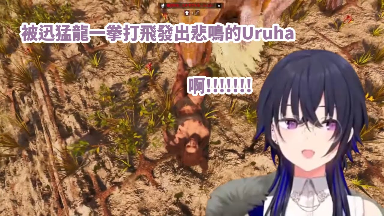 被迅猛龍一拳打飛而發出悲鳴的Uruha【一ノ瀬うるは】【VSPO中文】