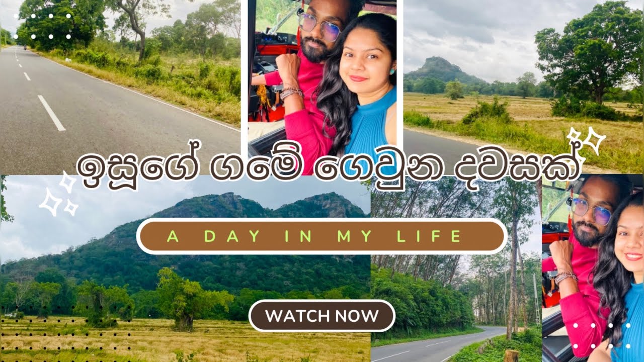 ගමේ ගියපු දවසක් ☘️🪵| ගමක ලස්සන | village vlog | @Poornimailmi95 