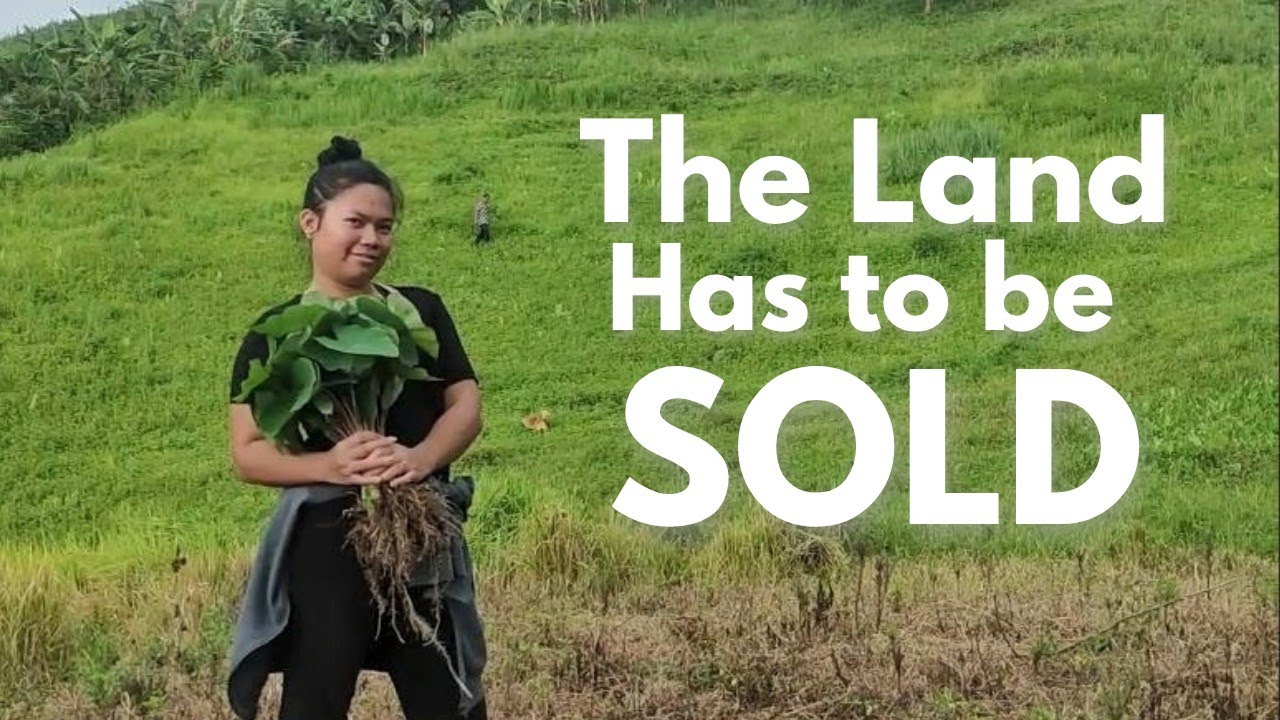 Farm Land For Sale And The Reason Why | Expat Life in the Province |Land for Sale in the Philippines