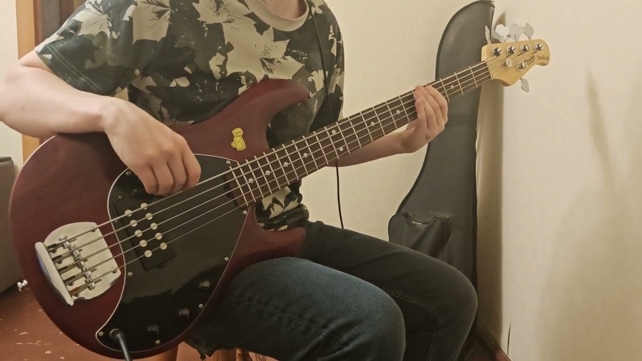 Seven Foot Spleen — It Smells (Bass cover) 