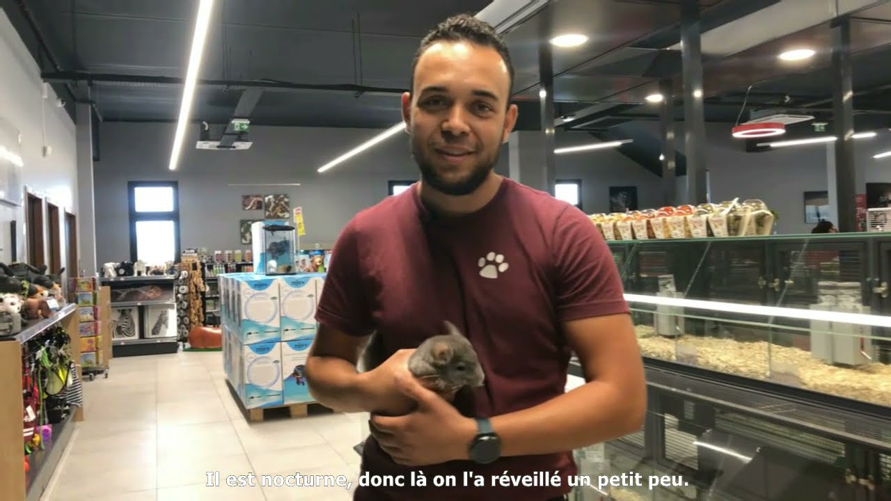 LE CHINCHILLA