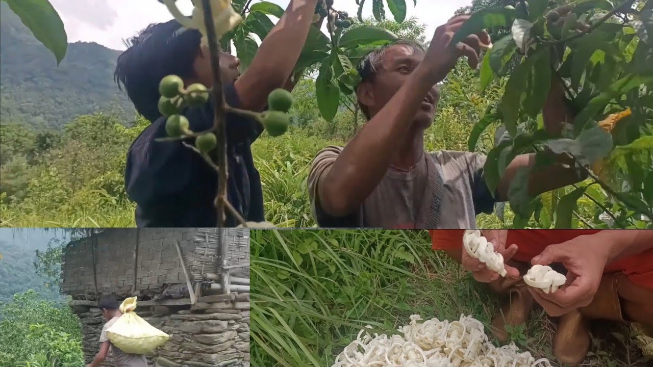 Sankhuwa Sava ChiChila 5 Debitarma Rudraksha Cheptaudai Hami Haru