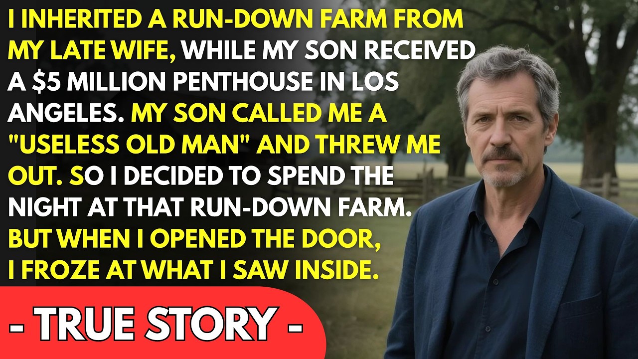 I Inherited a Run Down Farm While My Son Got a $5M Penthouse — But When I Opened the Door