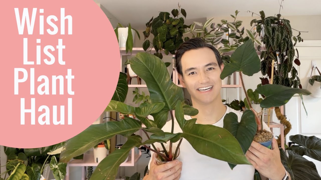 Plant Haul - PLANT GOAL ACHIEVED