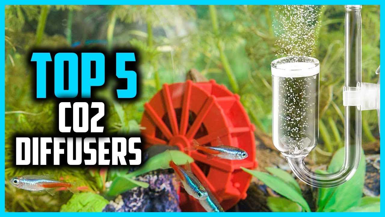 ✅ Top 5 Best CO2 Diffusers 2026