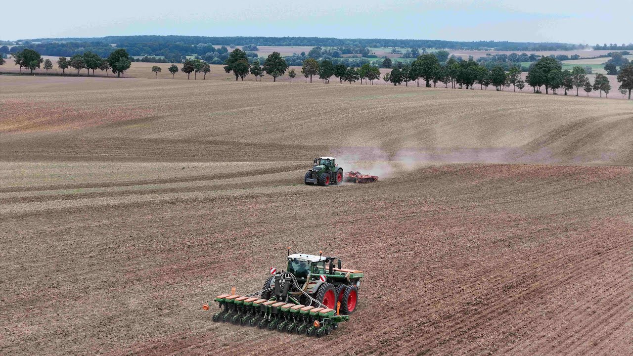 Der Raps kommt in den Boden | Fendt 1050 & 724 im Doppelpack | Amazone PRECEA 6000 - 2024