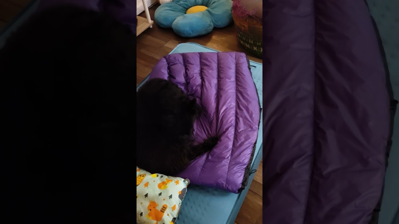 Nunatak Dog Down Sleeping Bag - BEST Sleeping Bag Ever