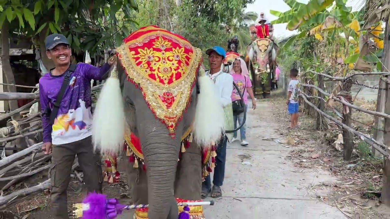 ทีมงาน ดาวมงคล เกิดอะไรขึ้นอยู่ที่วาปี
