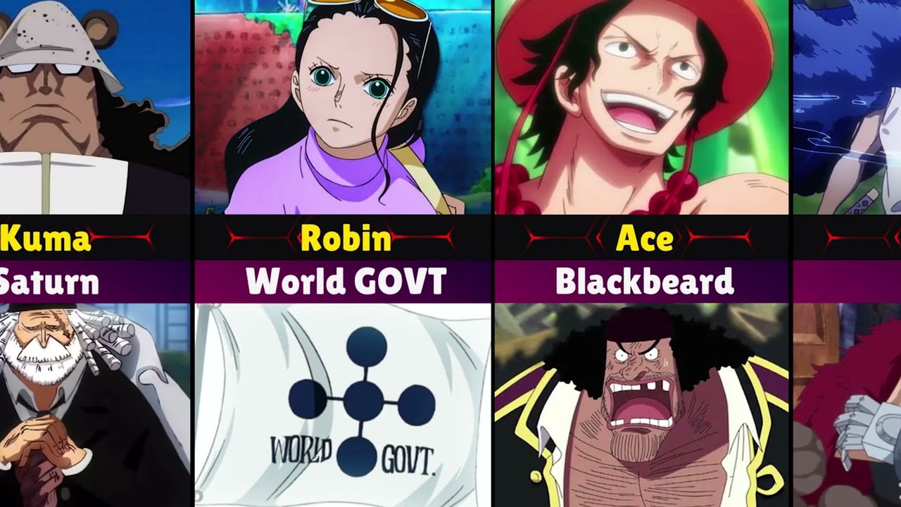 One Piece Eternal Rivalries