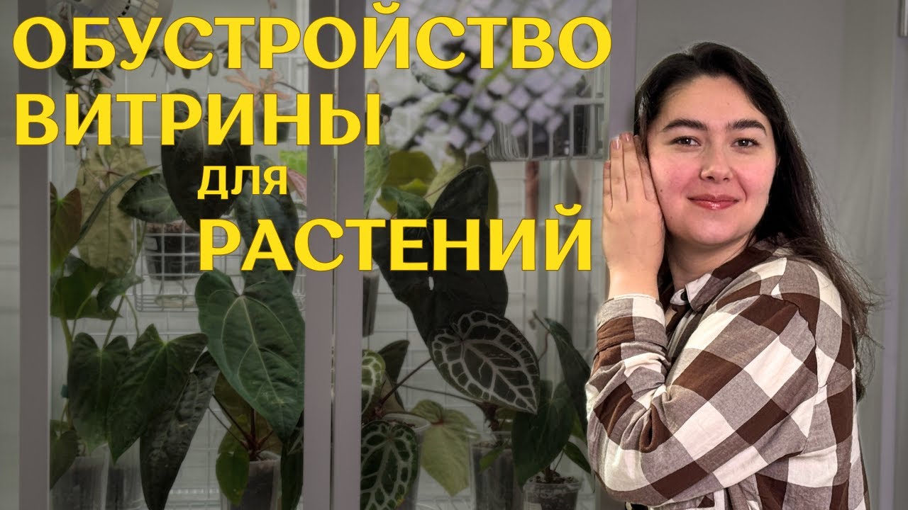 КАК подготовить стеклянный ШКАФ-ВИТРИНУ для РАСТЕНИЙ | 