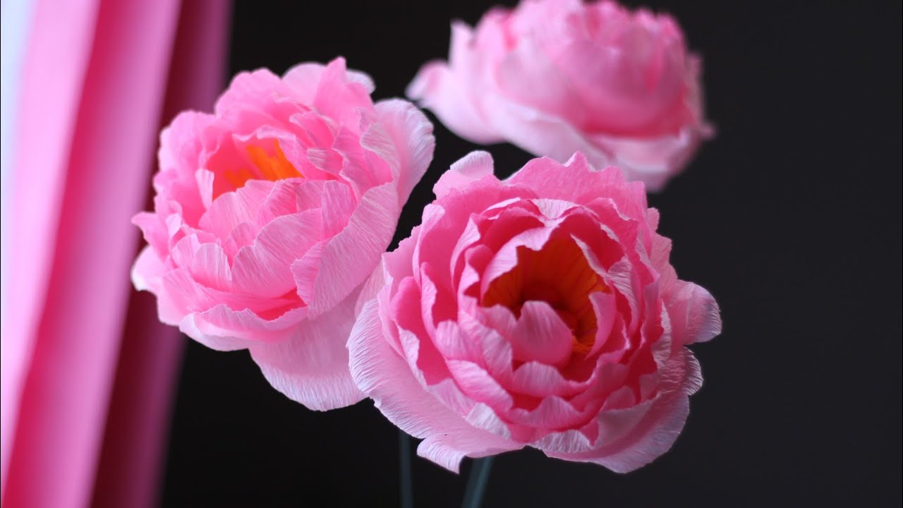 How To Make A Paper Peony From Crepe Paper! - Cara Membuat Bunga Peony dari Kertas Krep