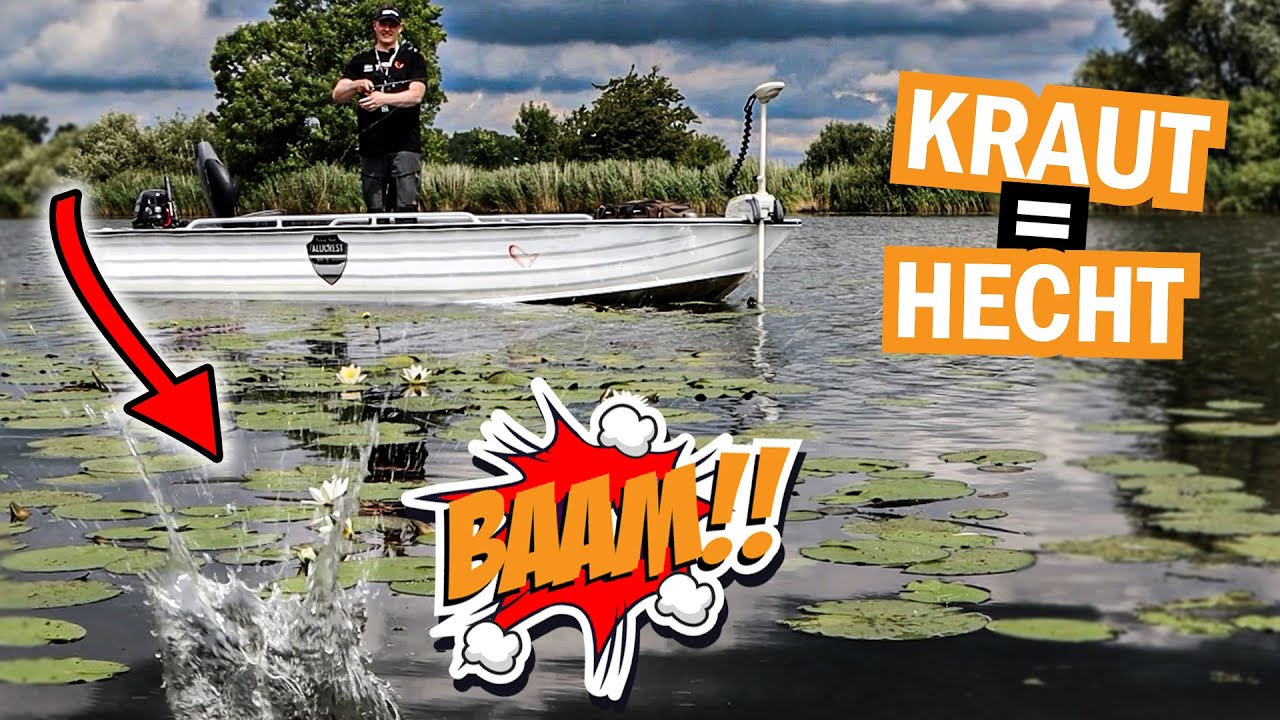 Ab ins Kraut: Hechte fangen inmitten von Seerosen I So klappt's!