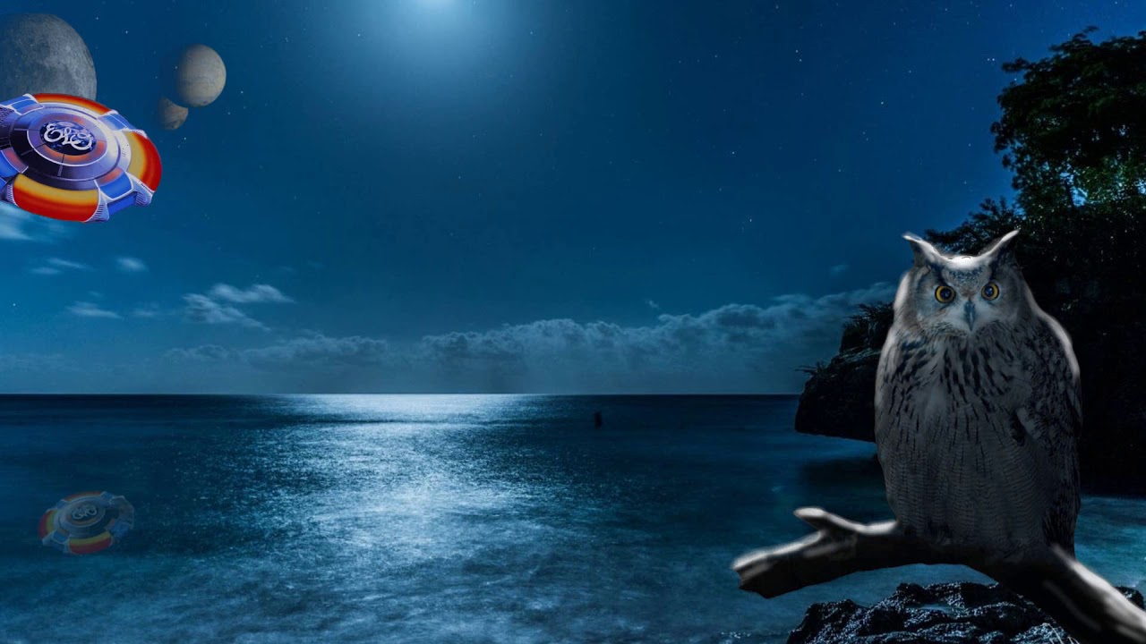 ELO - One Summer Dream - Lyrics