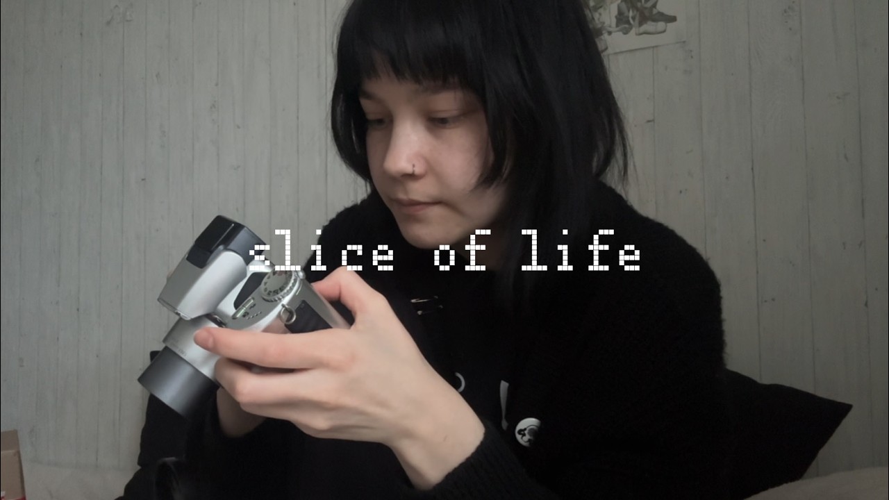 slice of life: поездка домой, новая камера и много кошек
