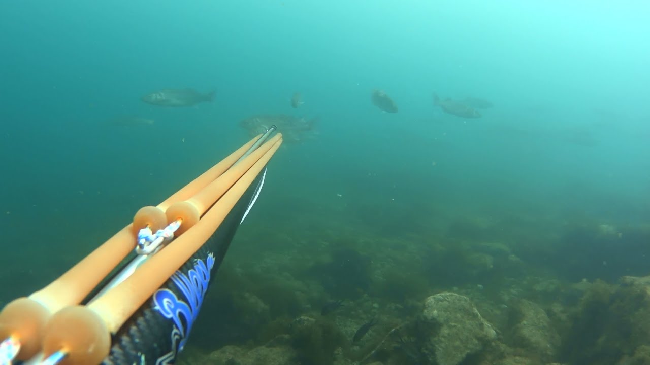 shallow spearfishing Greece
