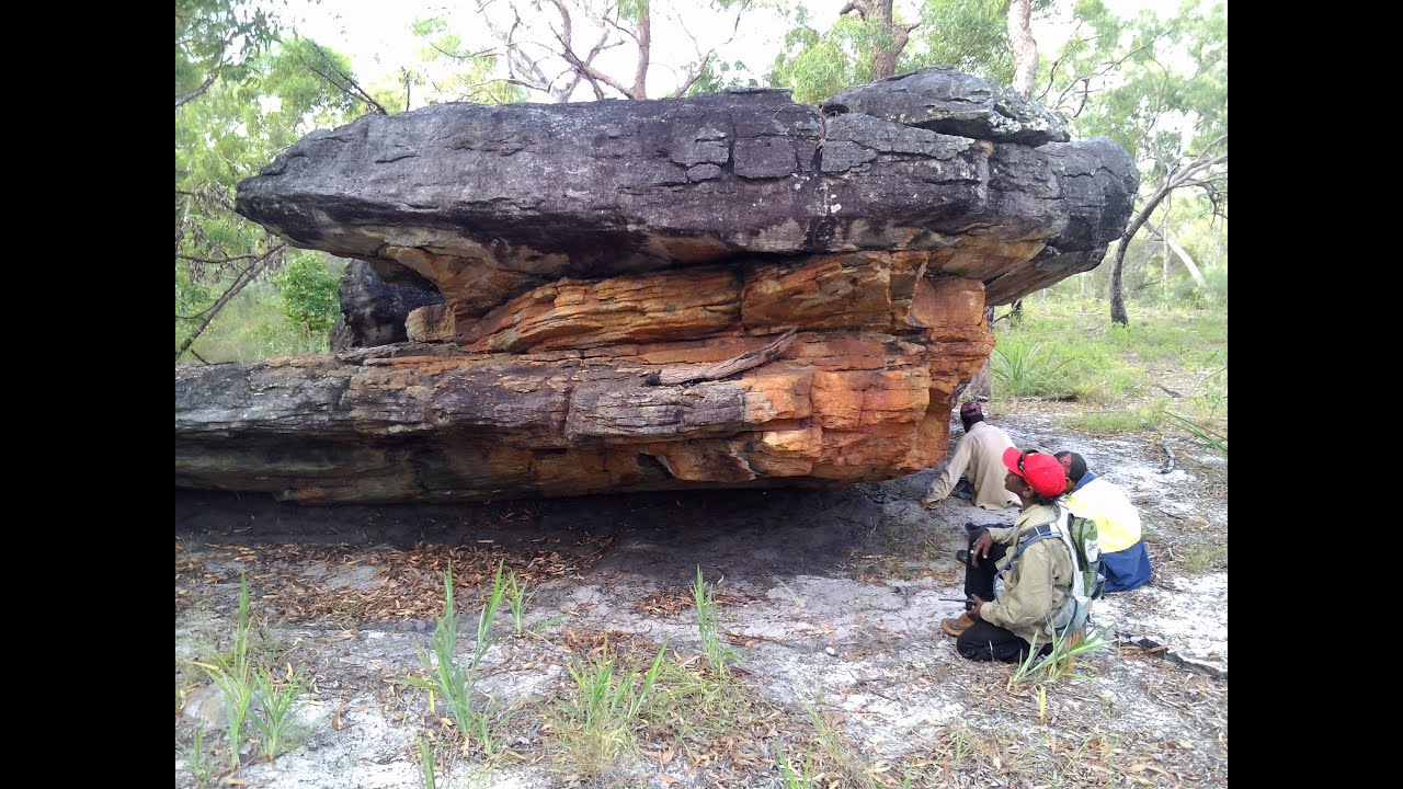 Cape York Peninsula Aboriginal Land Management Projects - Caring for Our Country