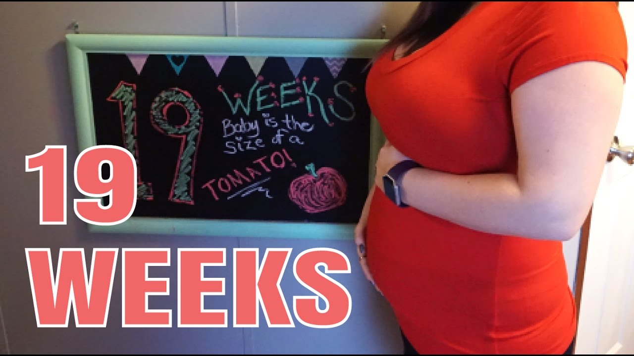 19 WEEKS PREGNANCY UPDATE!