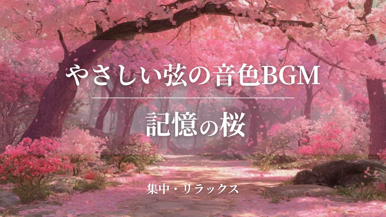 記憶の桜｜やさしい春の音色とチルホップ — Cherry Blossom Study BGM｜作業用BGM