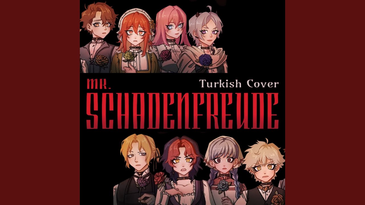 Mr. Schadenfreude (Turkish Cover)