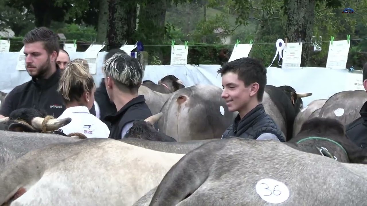 JOURNÉE ELEVAGES & TERROIRS LANDAIS à Hagetmau organisée par la Chambre d'agriculture Landes