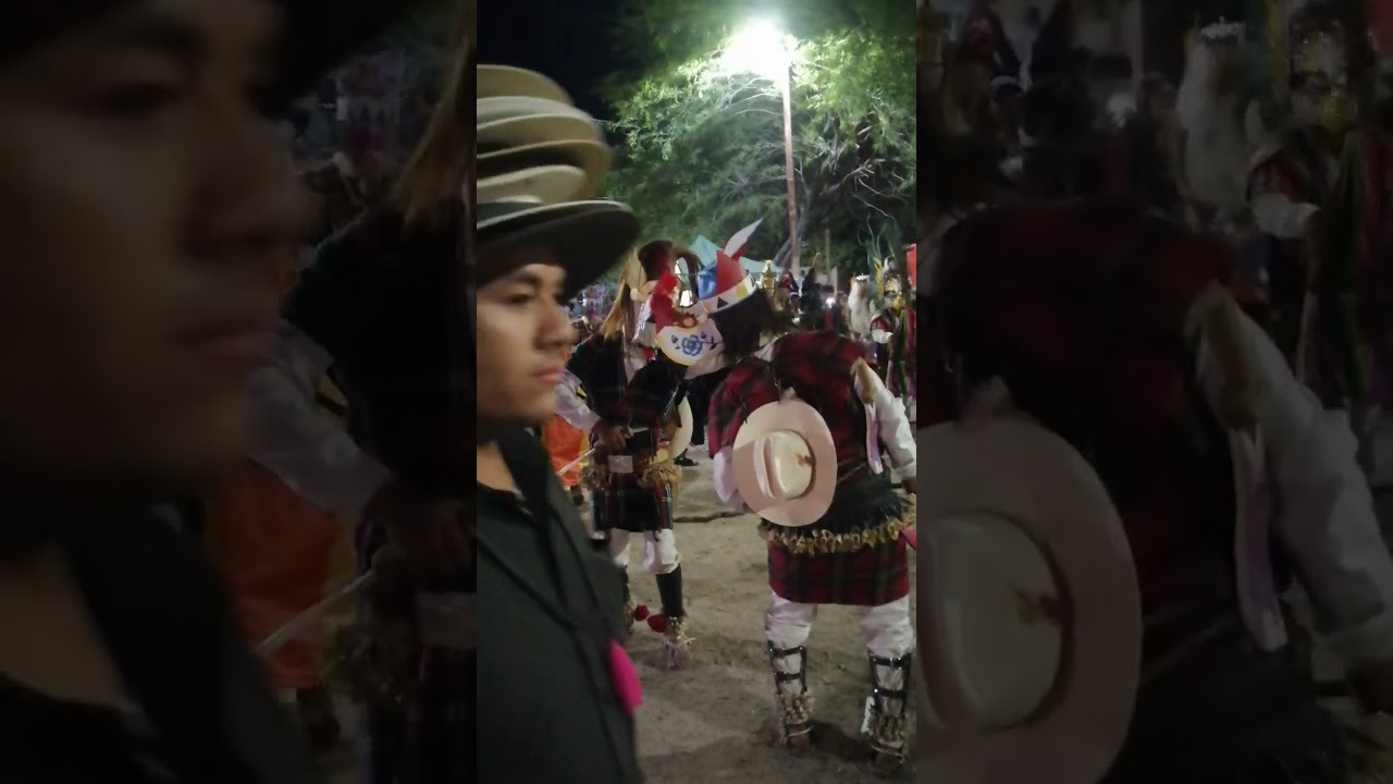 Fariseo coloso bajo 2025