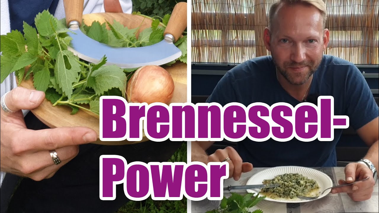 Anleitung: Brennnesseln ernten und zubereiten 🌿 Vom Wildkraut zur Überraschungs-Delikatesse