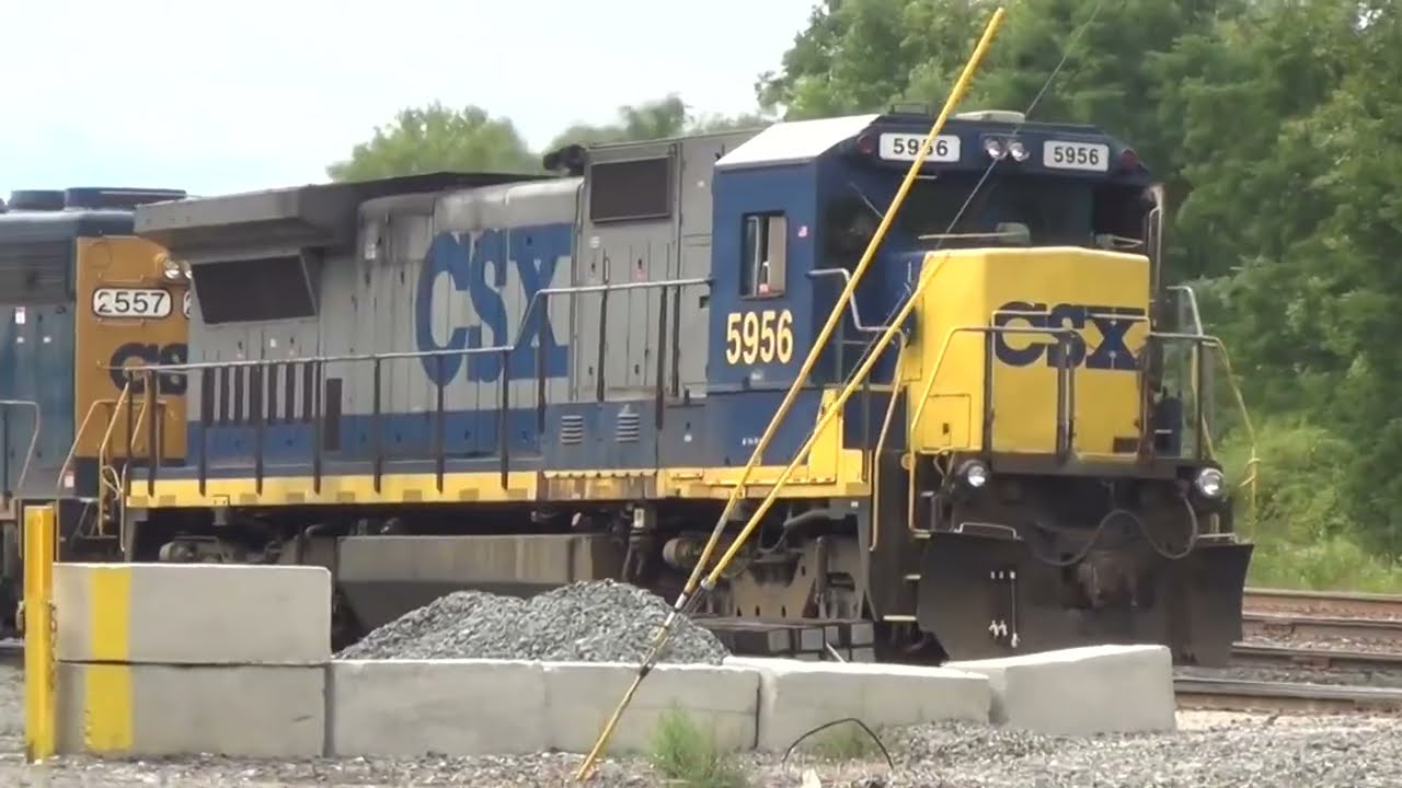 Chasing a Huge BNSF Train! Cabooses! Canadian National Tanker Train! CSX Night Trains Amtrak + More!