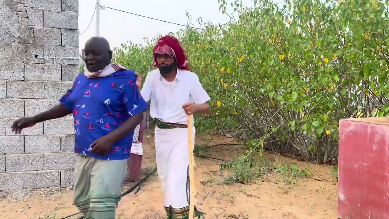 @ali_syram  يوميات راعي الكحيلا ( العامل المتهاون )